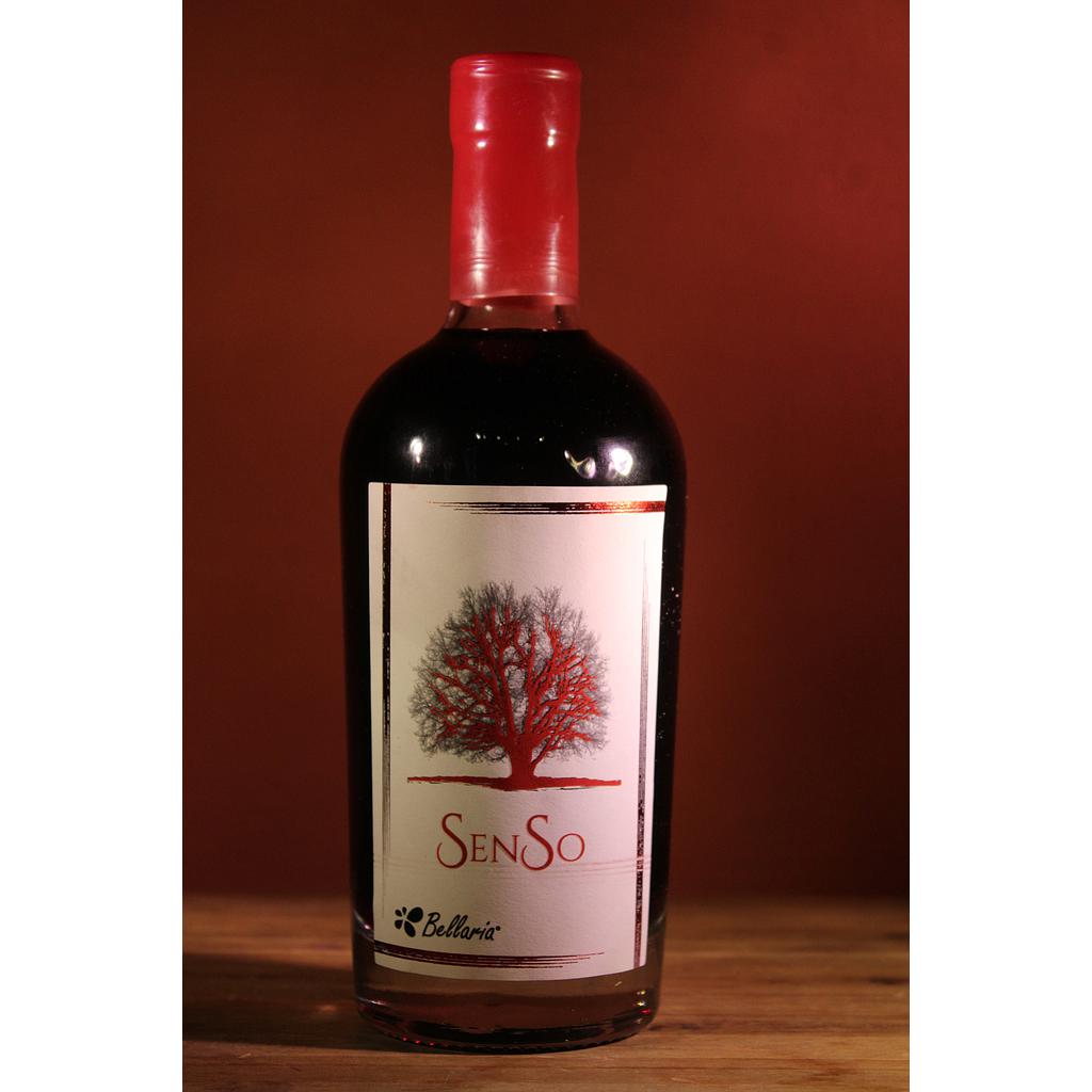 Senso - Bellaria - Passito Anglianico IGT